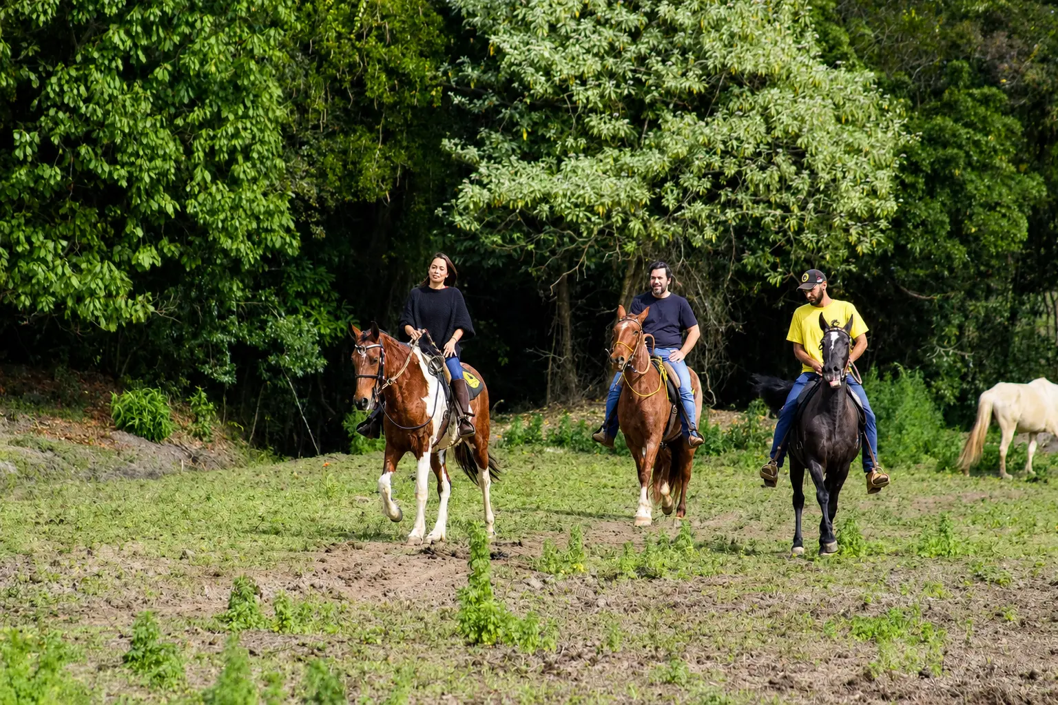 Passeio a cavalo por trilhas ao pôr do sol