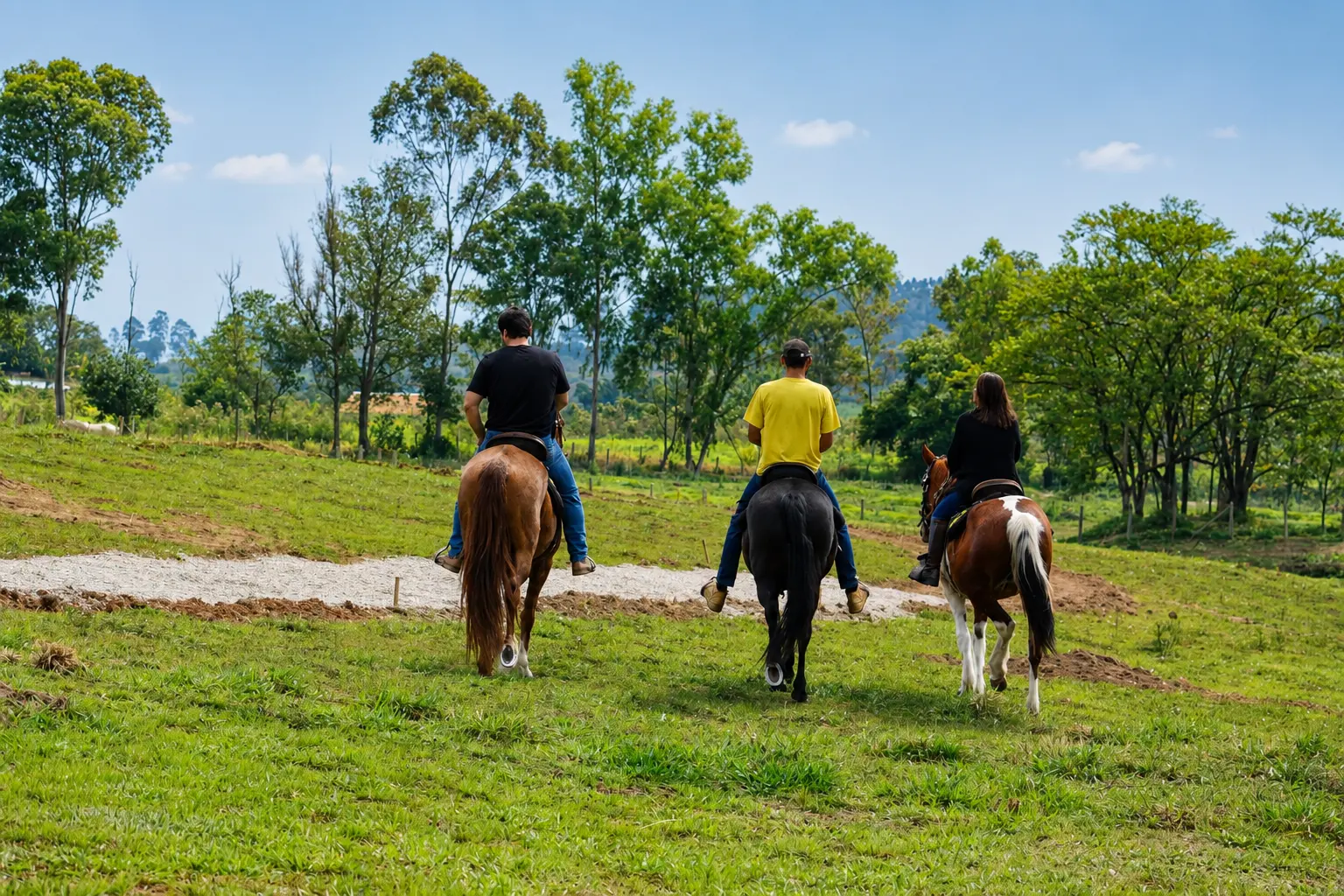 Visitante fotografando cavalo durante o passeio