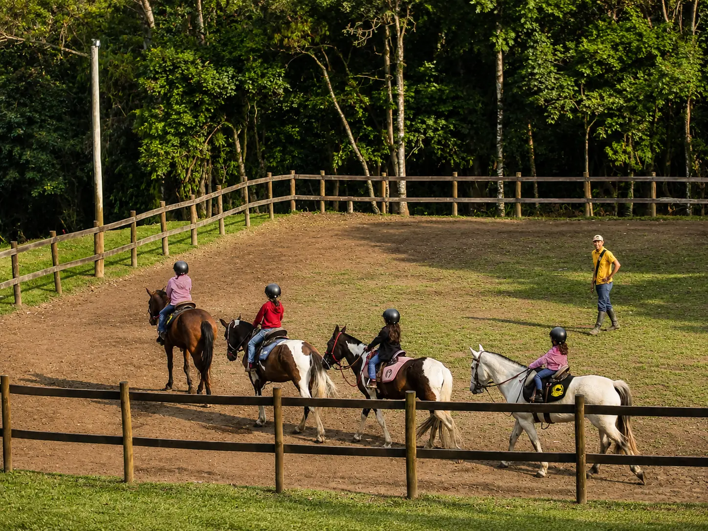Aula de equitação no picadeiro