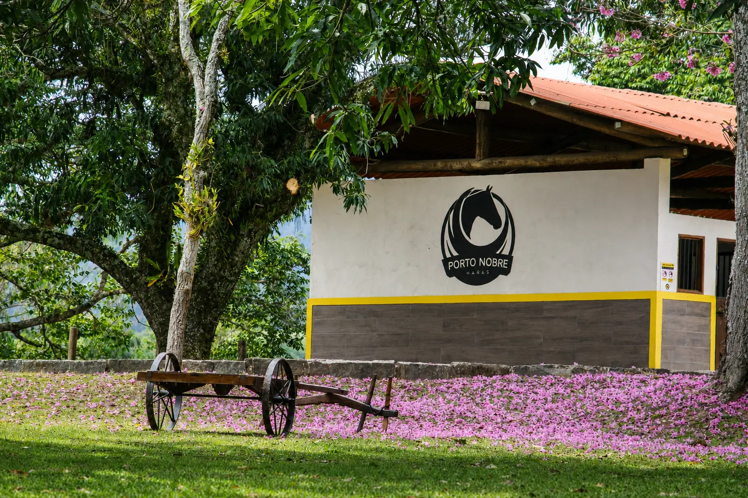 Sede do haras cercada por ipês floridos