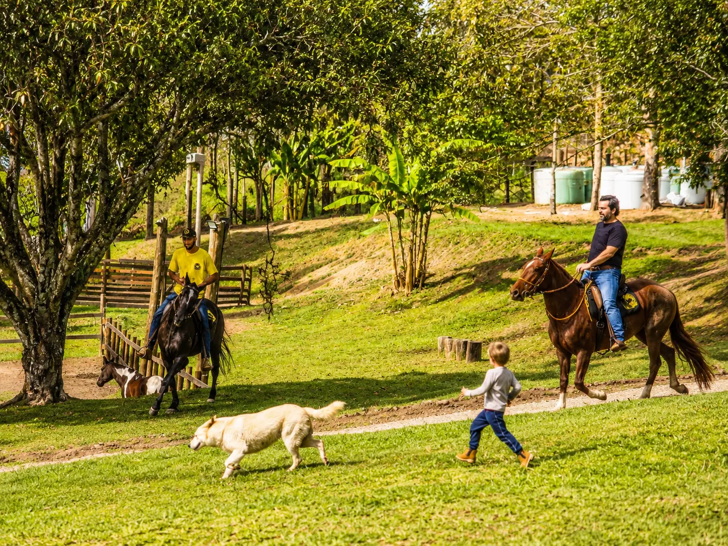 Cavalgada em família pelo haras